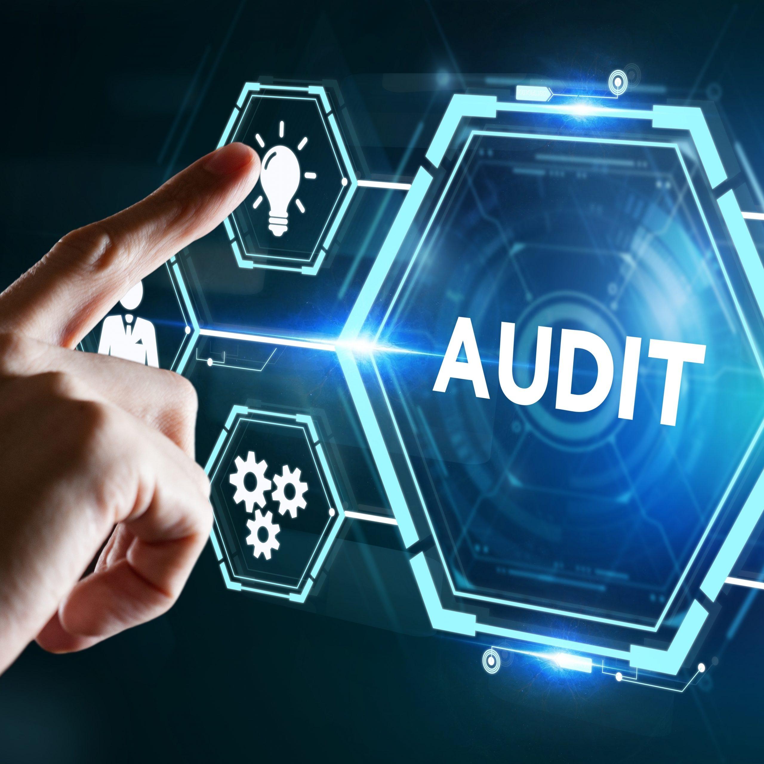 Third party auditing internal audit mock inspections